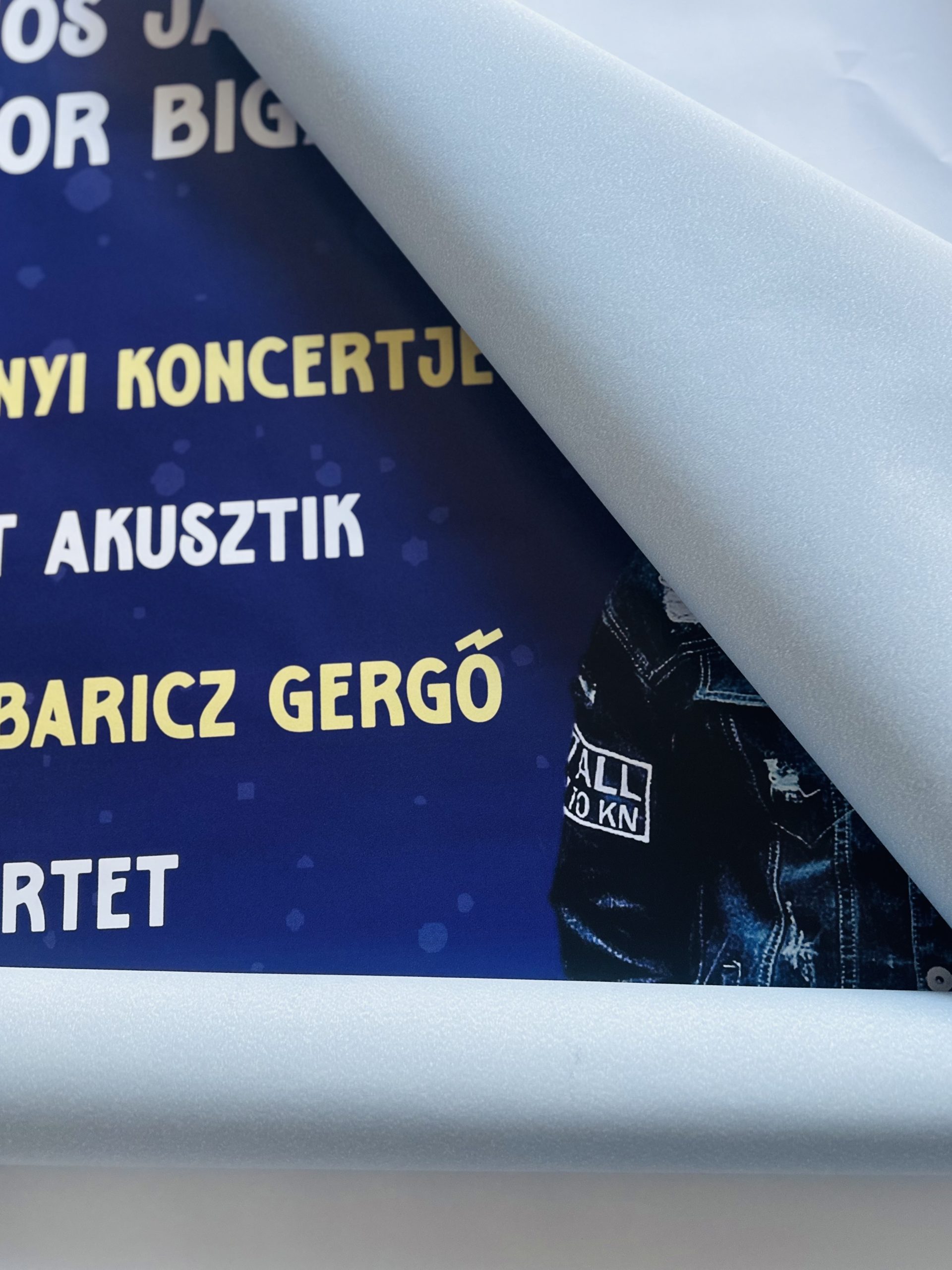 You are currently viewing Mi az a „kékhátú”?